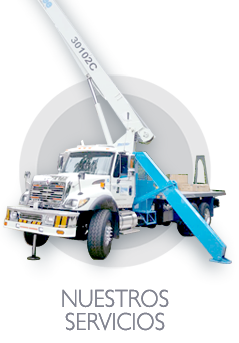 Servicios